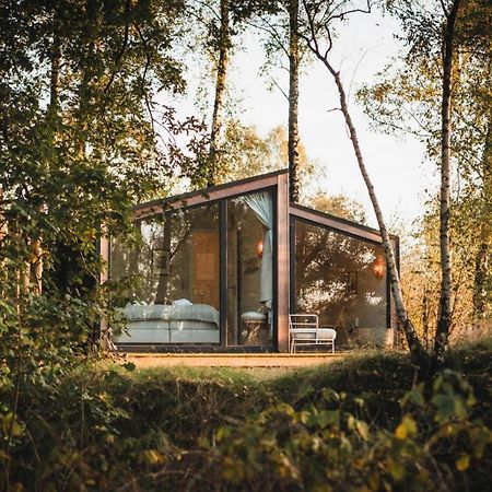 Resort Wilsumer Berge Стая снимка