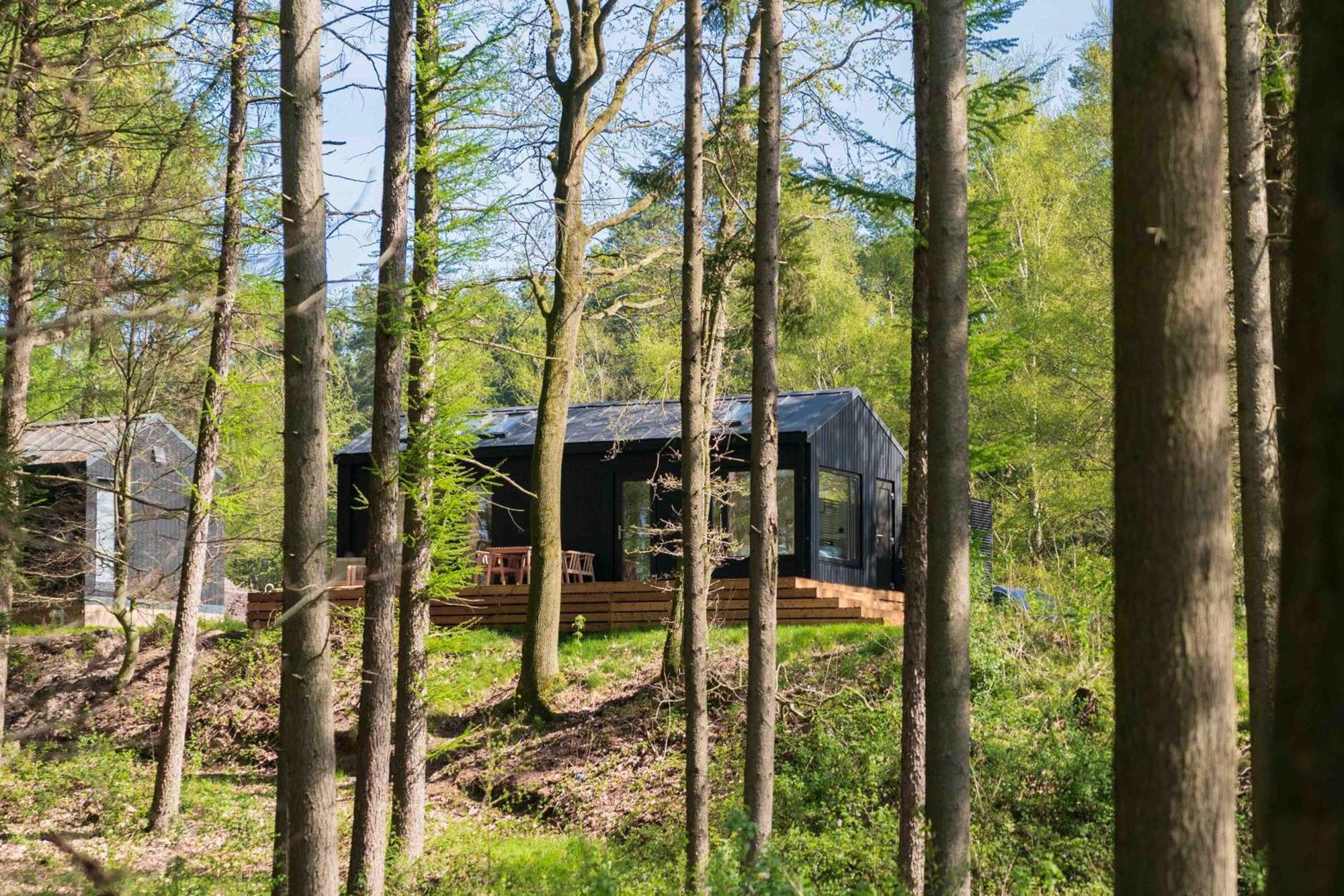 Resort Wilsumer Berge Екстериор снимка